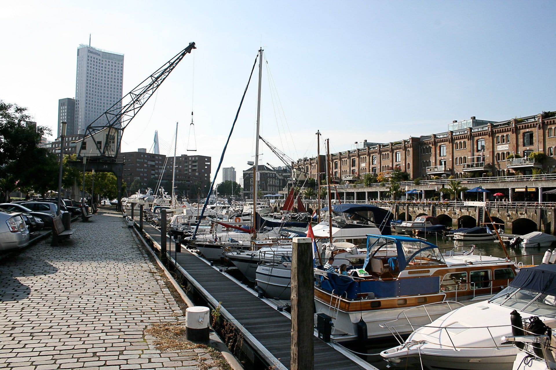 Rotterdam Marina Foto van Rotterdam Marina