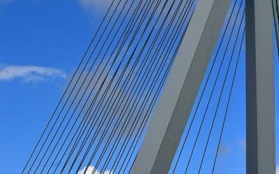Rotterdam aan het water