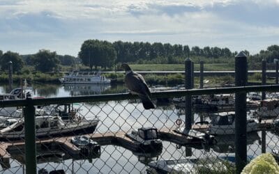 Passantenhaven Centrum Venlo (Stadshaven Weerdsprong)