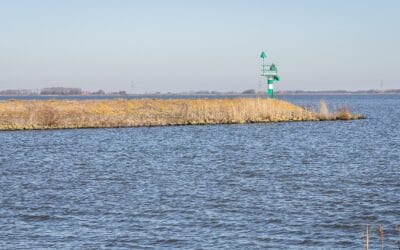 Dronten aan het water