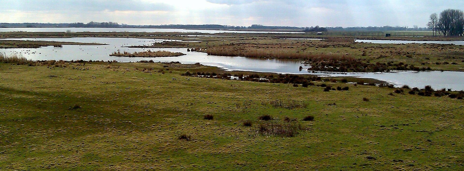 schildweek-steendam Schildweek Steendam: zeilwater van het Schildmeer bij Steendam