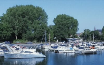 W.S.V. De Vecht