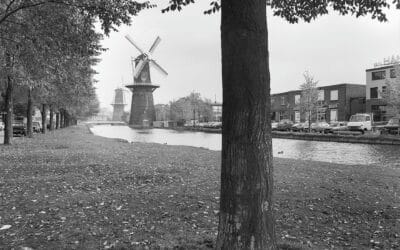 Schiedam aan het water