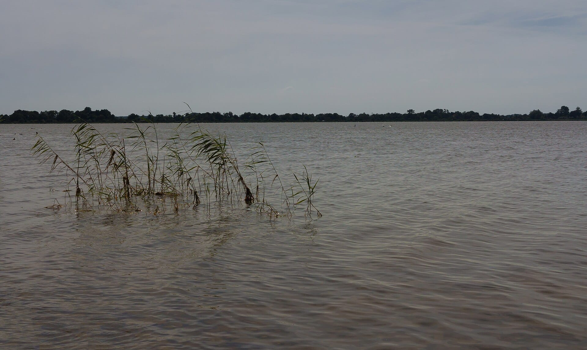 loosdrechtse-plassen-nazomer Varen op de Loosdrechtse Plassen in de nazomer