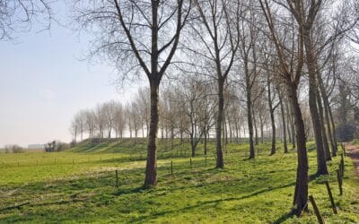 Sluis aan het water