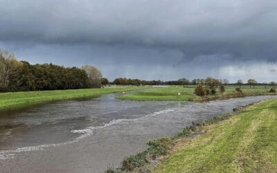 Hardenberg aan het water