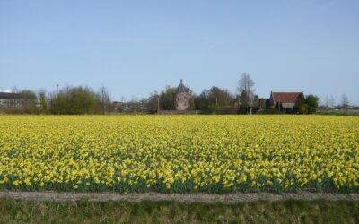 Lisse aan het water