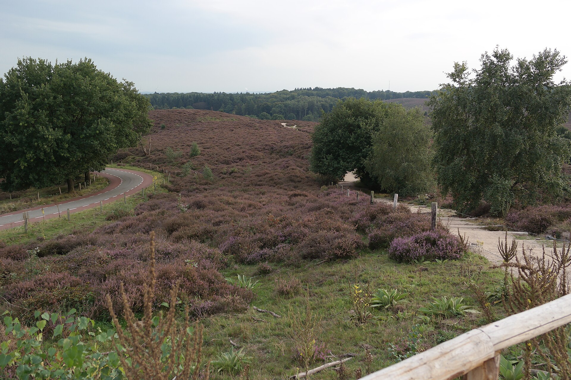 SAMSUNG CSC Heidelandschap van de Posbank op de Veluwezoom, gemeente Rheden